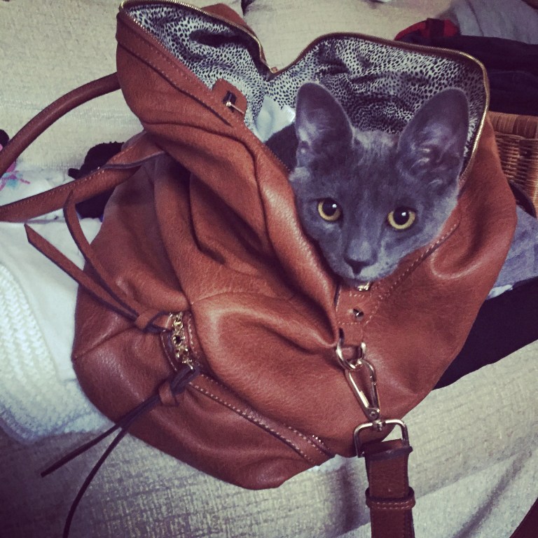 packing-tips